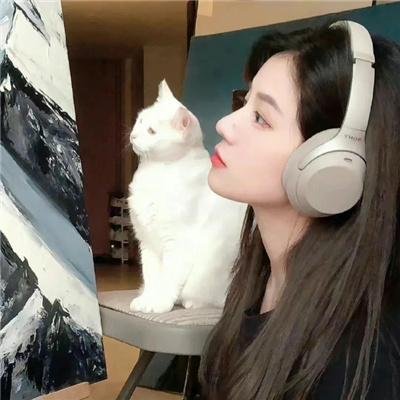 怪侠小可怜